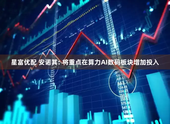 星富优配 安诺其: 将重点在算力AI数码板块增加投入