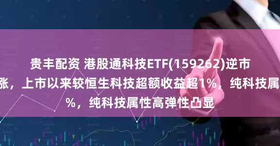 贵丰配资 港股通科技ETF(159262)逆市红盘冲击3连涨，上市以来较恒生科技超额收益超1%，纯科技属性高弹性凸显