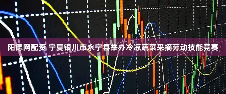 阳德网配资 宁夏银川市永宁县举办冷凉蔬菜采摘劳动技能竞赛
