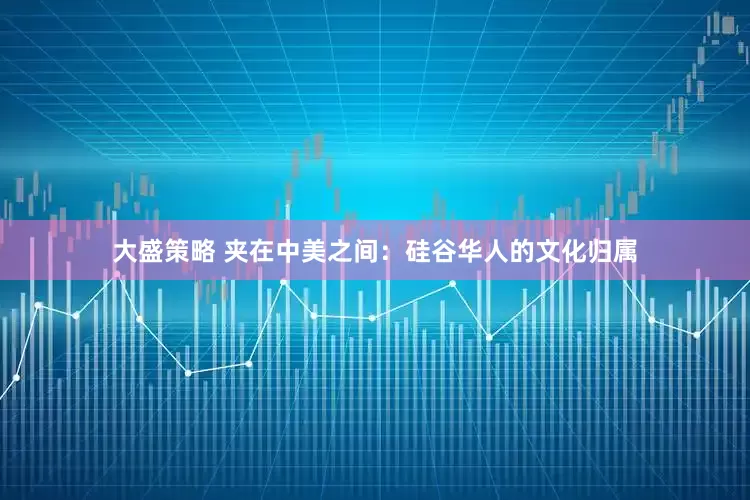 大盛策略 夹在中美之间：硅谷华人的文化归属