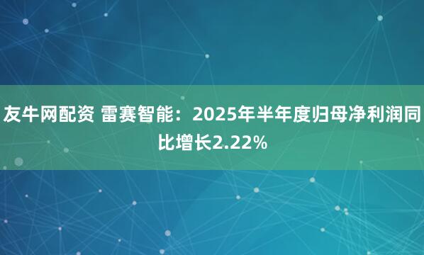 友牛网配资 雷赛智能：2025年半年度归母净利润同比增长2.22%